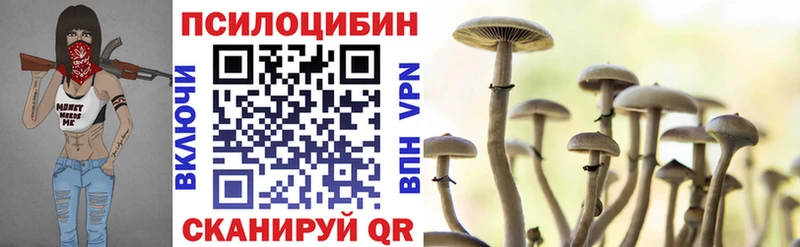 Галлюциногенные грибы Cubensis  Кукмор 